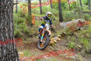 Gigante 2021 02180