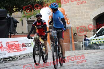 JAVIER ALCALDE BRIALES Imperial 2016 13236