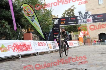 FRANCISCO VICENTE MARTINEZ Imperial 2016 15137