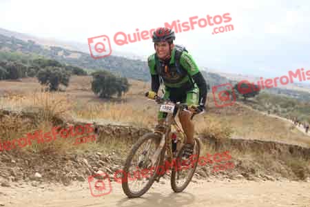 MARIO ACEITUNO ROSADO IMG 7208