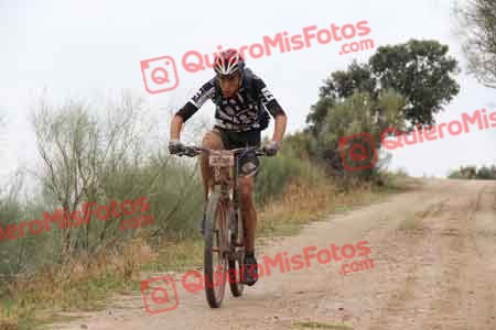 ENRIQUE PINO HIDALGO Talajara 2014 04648