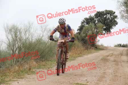 ROBERTO MARTIN VERDE Talajara 2014 04649
