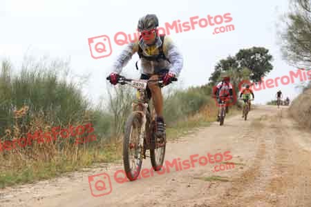 JAVIER CAPUTTO CAMARENA Talajara 2014 04745