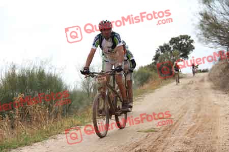 SALVADOR MORENO MORENO Talajara 2014 05363