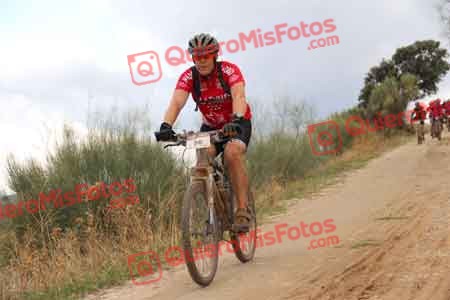JUAN JOSE ALBA GONZALEZ Talajara 2014 06420