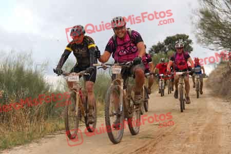 MARIANO GIL SASTRE Talajara 2014 06421