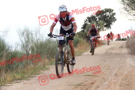 GREGORIO JIMENEZ CANO Talajara 2014 07205