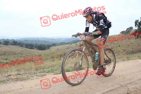 ENRIQUE PINO HIDALGO Talajara 2014 07715