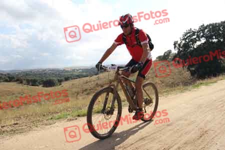 PEDRO CASELLES SOTO Talajara 2014 10399