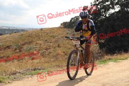 JOSE MOTA SALES Talajara 2014 10449