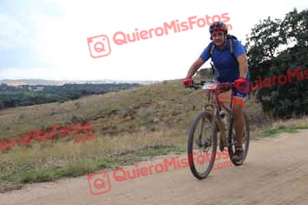 SIGIFREDO ALONSO HERNANDEZ Talajara 2014 10774