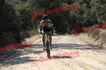 Talajara 2015 00074