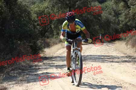 Talajara 2015 00075
