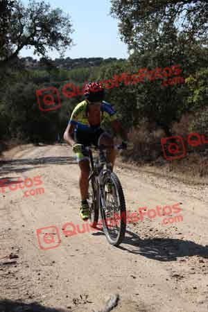 Talajara 2015 00080