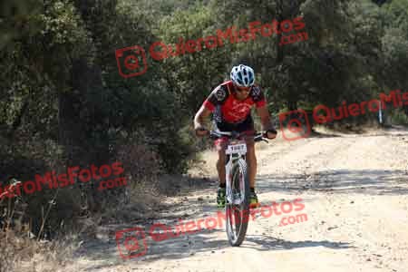 JORGE GALISTEO DE CABO Talajara 2015 00144