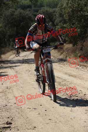JORGE ALBARCA GOMEZ Talajara 2015 00223