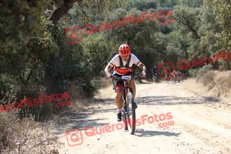 GUILLERMO ROTHE GOMEZ Talajara 2015 00233