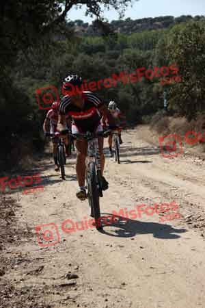 Talajara 2015 00258