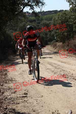Talajara 2015 00259