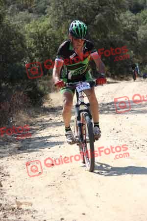 Talajara 2015 00277