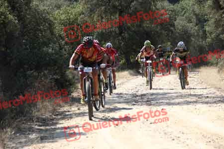 Talajara 2015 00360