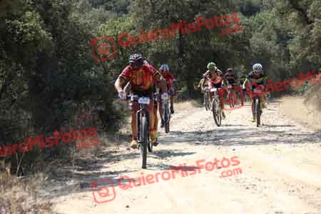Talajara 2015 00361
