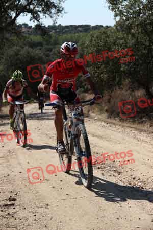 JOSE AGUILAR PEREZ Talajara 2015 00376