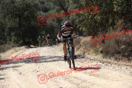 Talajara 2015 00401