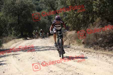 Talajara 2015 00402