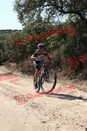 Talajara 2015 00406