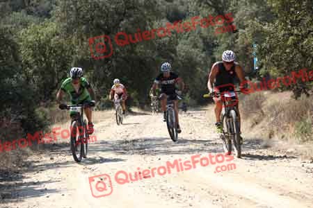 Talajara 2015 00410