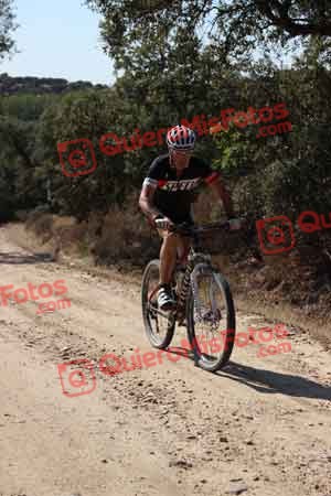 Talajara 2015 00425