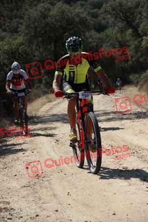 PEDRO LUIS CUESTA COLMENAREJO Talajara 2015 00515