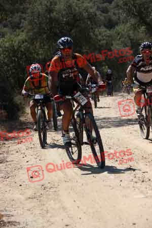 FRANCISCO QUINTANA GOMEZ Talajara 2015 01833