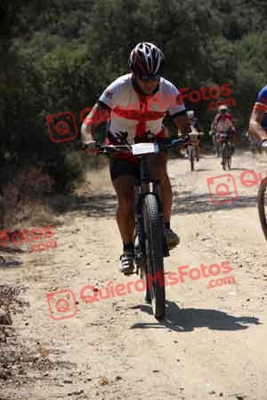 MARIANO HERNANDEZ BARRERA Talajara 2015 02568