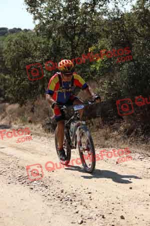 PAULINO VICARIO SANTAMARIA Talajara 2015 02955