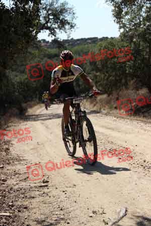 JESUS SERRANO PEREZ Talajara 2015 03216