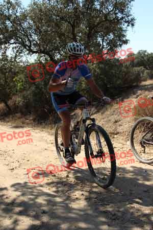 JOSE LUIS MARTINEZ LOPEZ Talajara 2015 03797