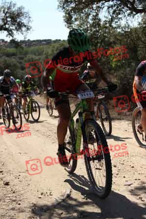 JUAN EMILIO REVILLA SANZ-VIVEROS Talajara 2015 04187