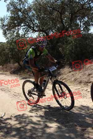 GUILLERMO MARTIN BUSTAMANTE Talajara 2015 04272