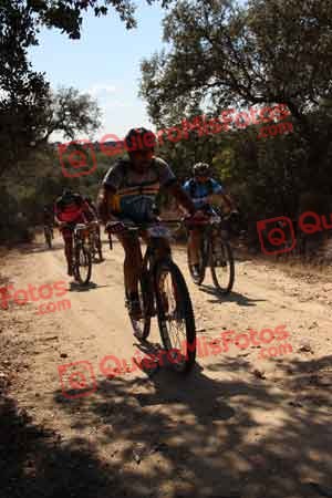 JUAN JOSE GONZALEZ ROMERO Talajara 2015 05013