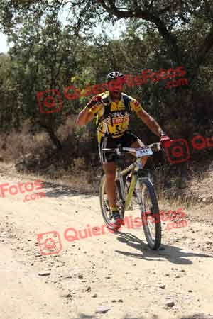 JAIME CORTES CORONADO Talajara 2015 05284