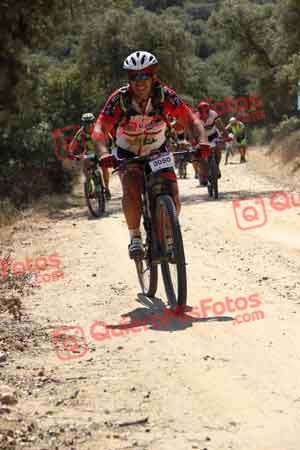 JOAQUIN SUCH MENDOZA Talajara 2015 05403