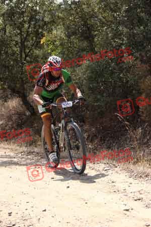 MIGUEL ANGEL ADAN DORADO Talajara 2015 06032