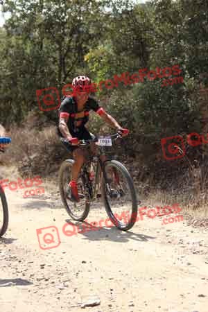 MIGUEL ANGEL ASO VISCASILLAS Talajara 2015 06219