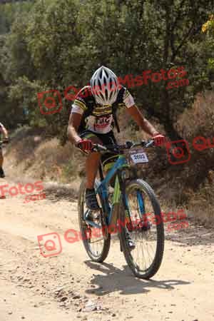 SERGIO GOMEZ AMORES Talajara 2015 06400