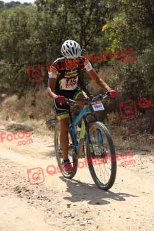 SERGIO GOMEZ AMORES Talajara 2015 06401