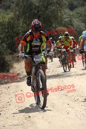 FRANCISCO PRIETO MARTIN Talajara 2015 06734