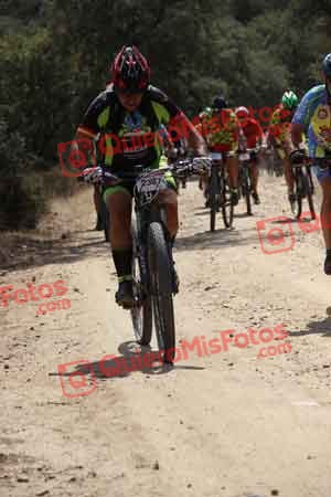 FRANCISCO PRIETO MARTIN Talajara 2015 06735
