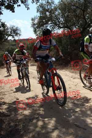 ISMAEL GIL REAL Talajara 2015 06785